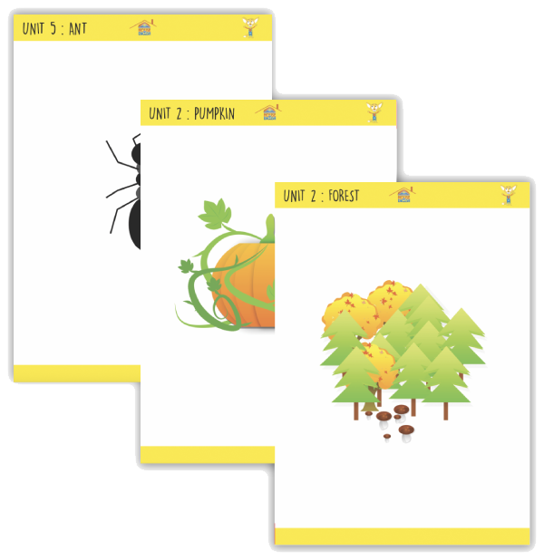 Smarties_Flashcards-2